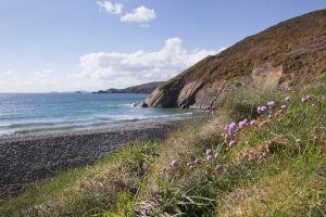 newgale pembrokeshire 1 sm.jpg